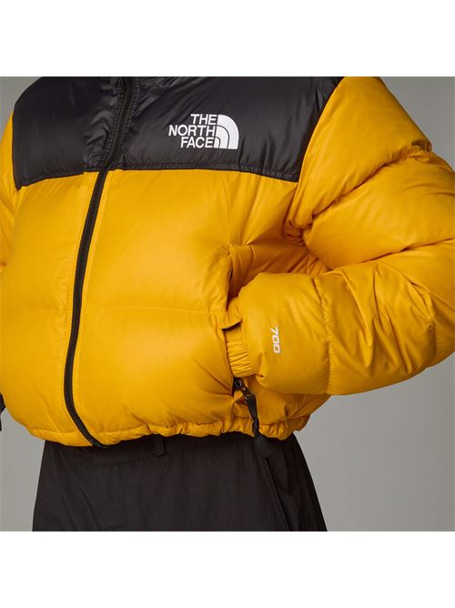  THE NORTH FACE | NF0A5GGE/ZU31